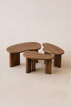 Set of 3 Charlie Coffee Tables - Walnut Color With 3 Legs