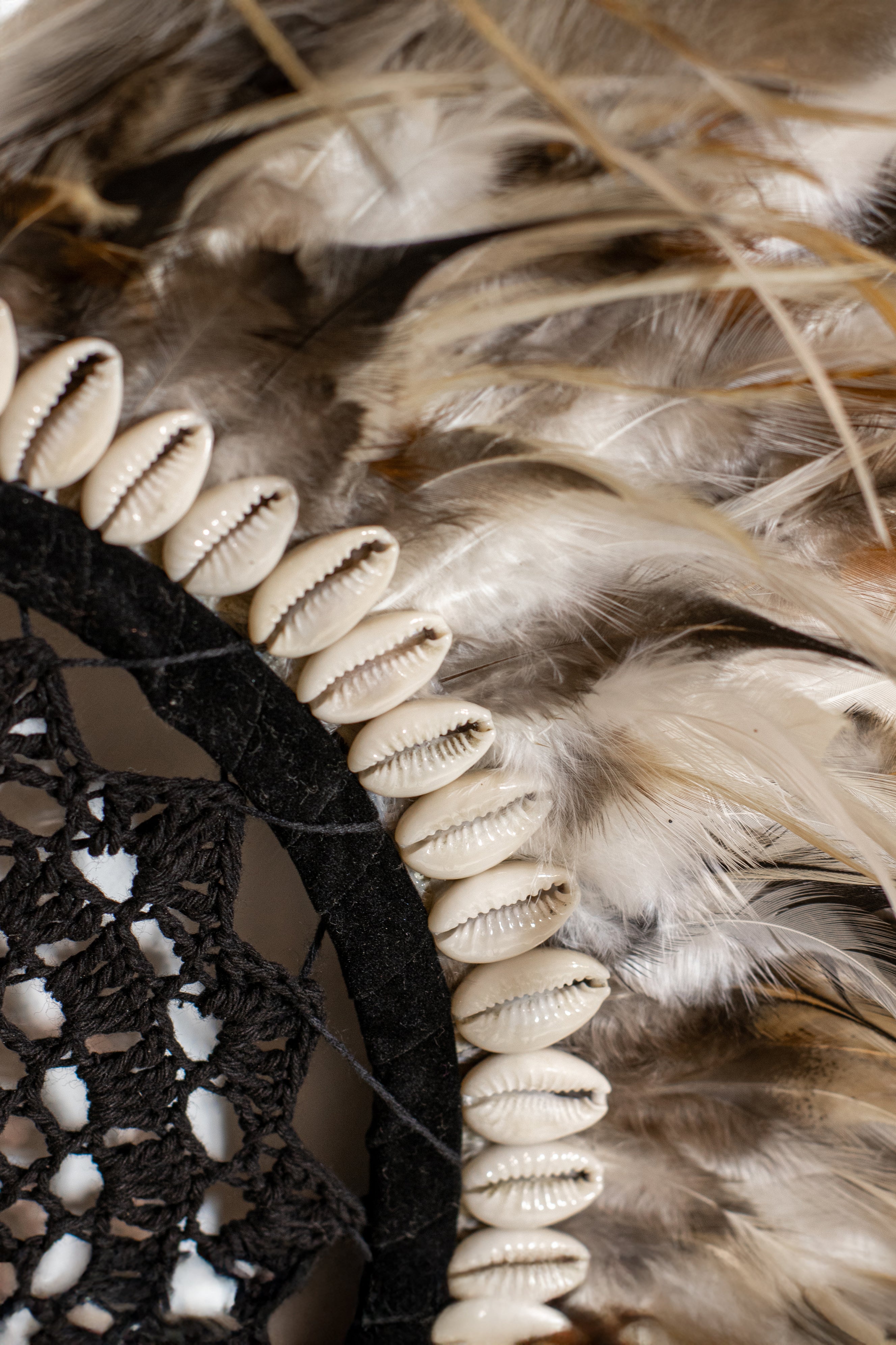 Decoración Kapau - Plumas Y Conchas De Gallo