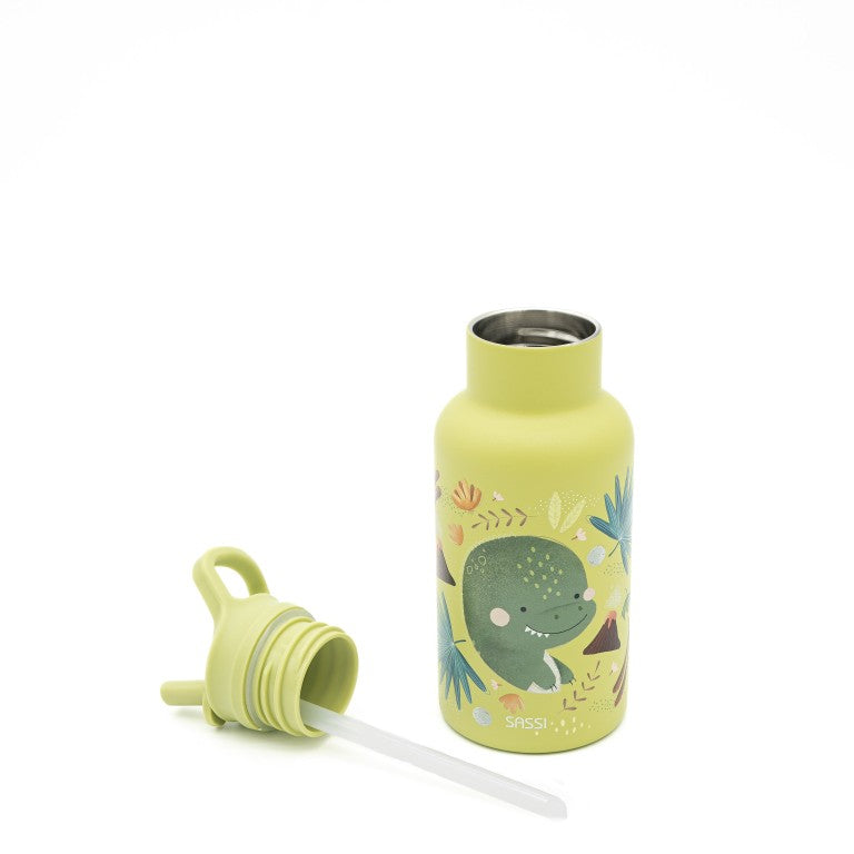 Insulated Water Bottle 350 ml - The Dinosaur