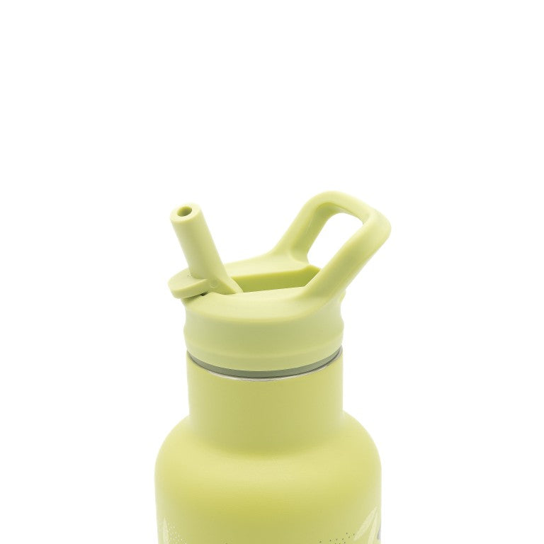 Insulated Water Bottle 350 ml - The Dinosaur