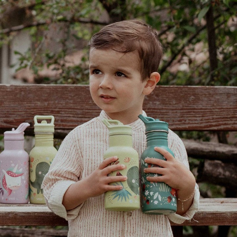 Insulated Water Bottle 350 ml - The Dinosaur