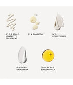 The Healthy Hair Discovery Set