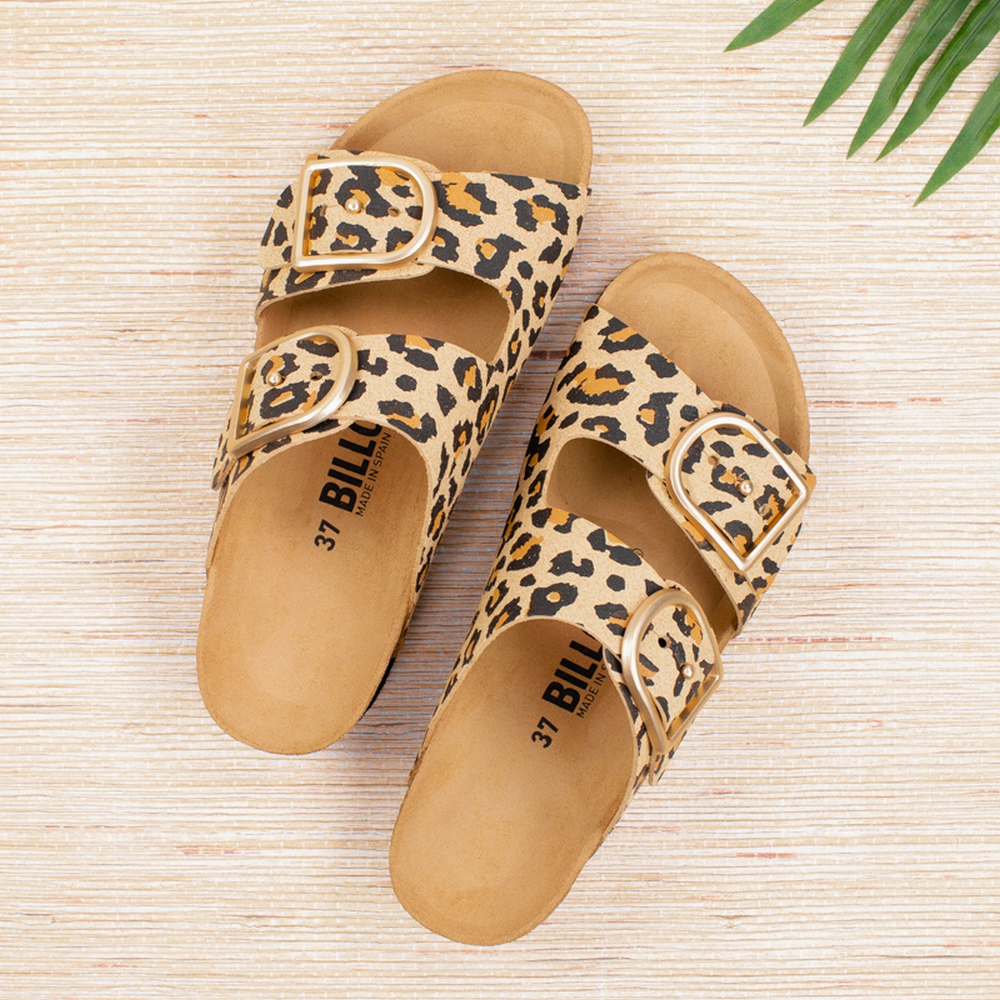Sandales Marron - Femme