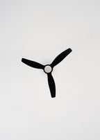 Wind Stylance Natural Wood - Ventilateur De Plafond 40W Silencieux 100% Bois - Noir