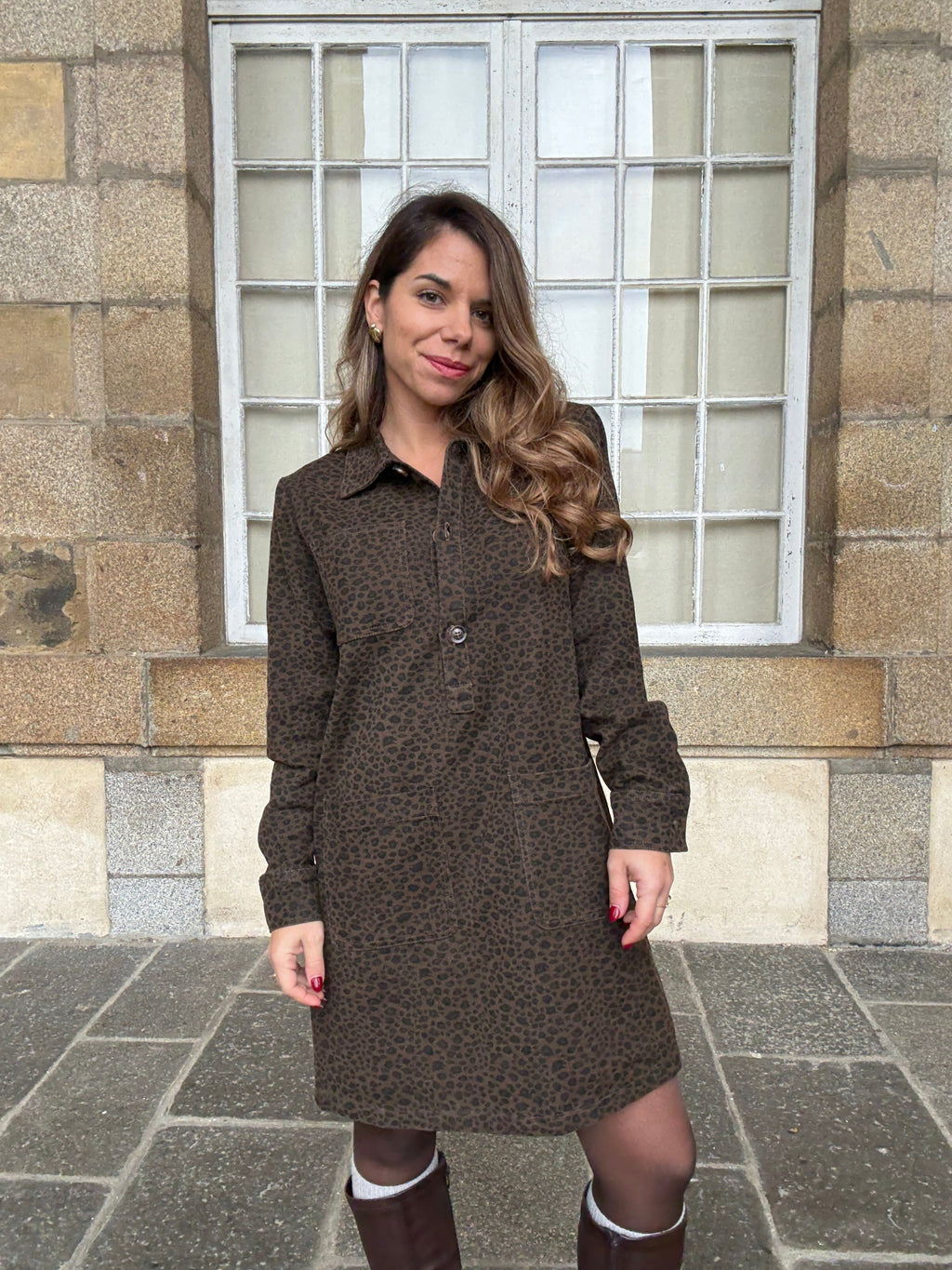 Alix Leopard Dress