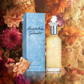 Eau De Parfum- Splendor