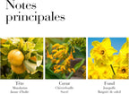 Eau De Toilette - Girasoles Amanecer