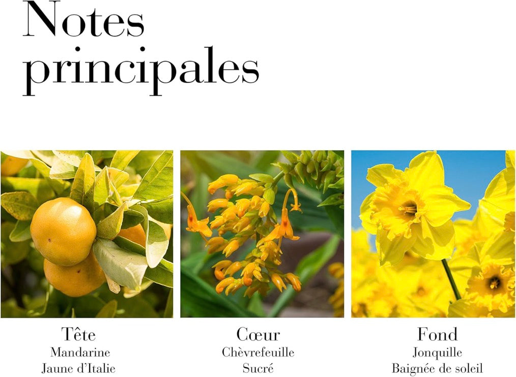 Eau De Toilette - Girasoles Amanecer