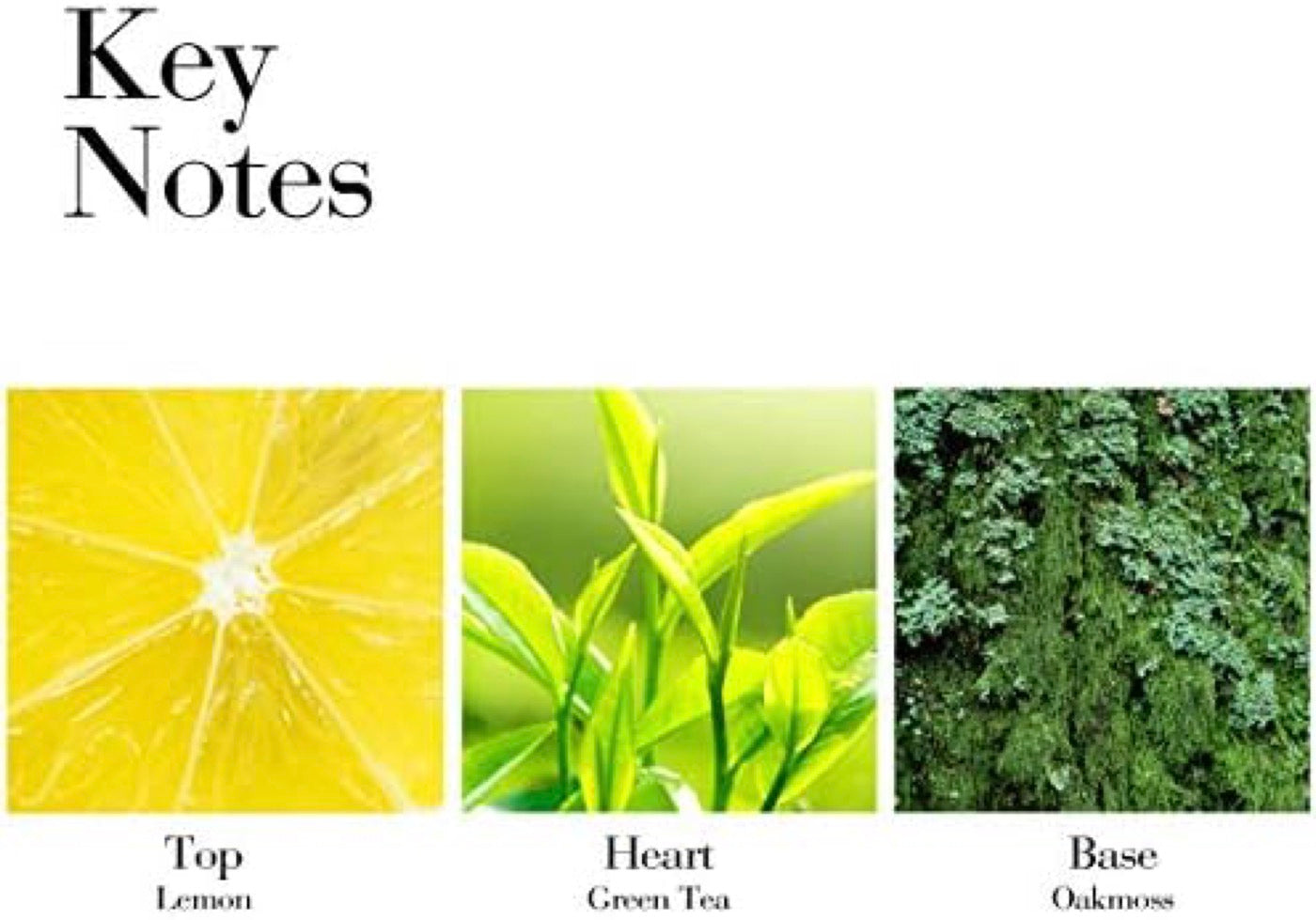 Desodorante en spray - Té verde