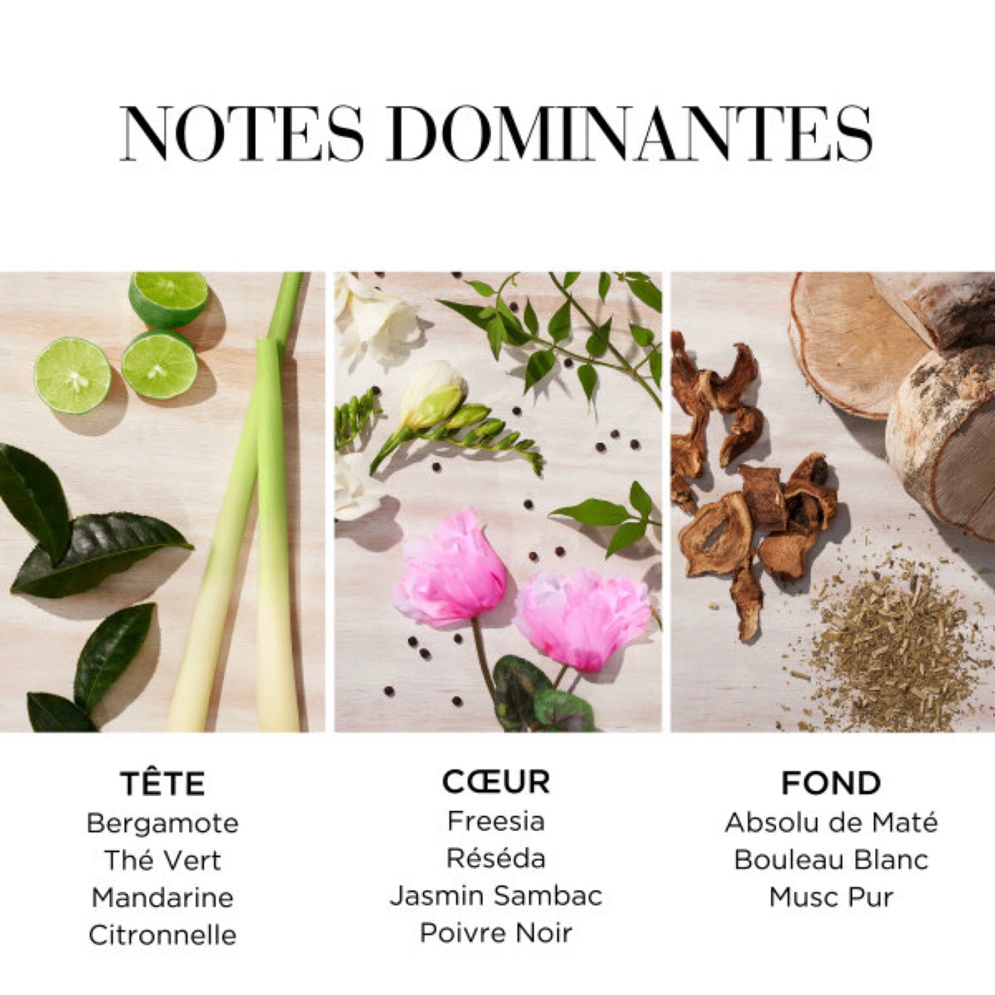 Eau De Toilette - Té Verde Limón Fresia
