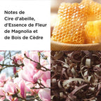 Eau De Toilette - Girasoles Honeydaze