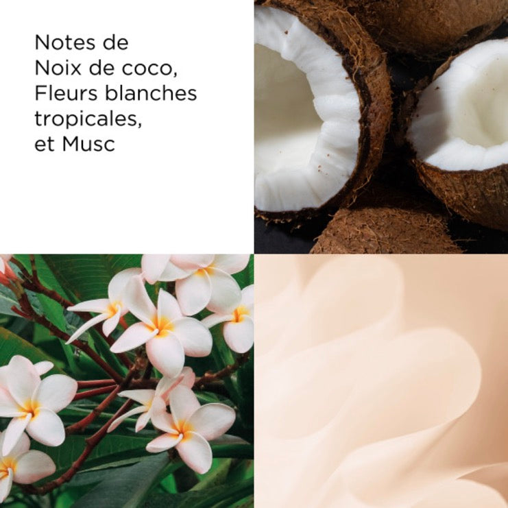 Crema Corporal - Té Verde Brisa De Coco