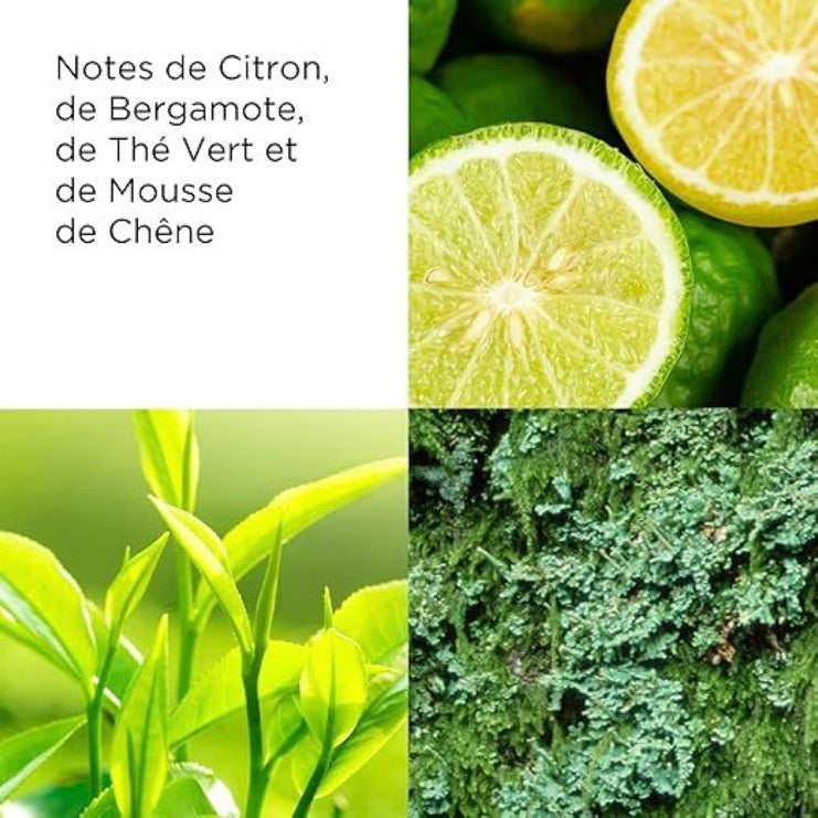 Gel Energizante - Té Verde