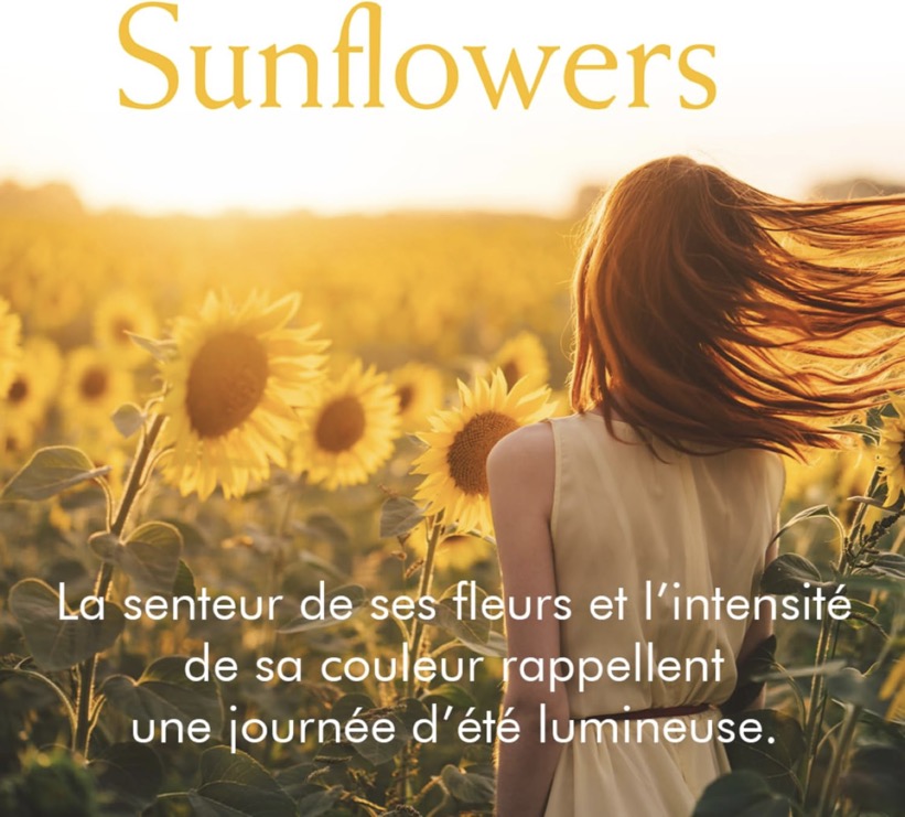 Bruma Perfumada - Girasoles