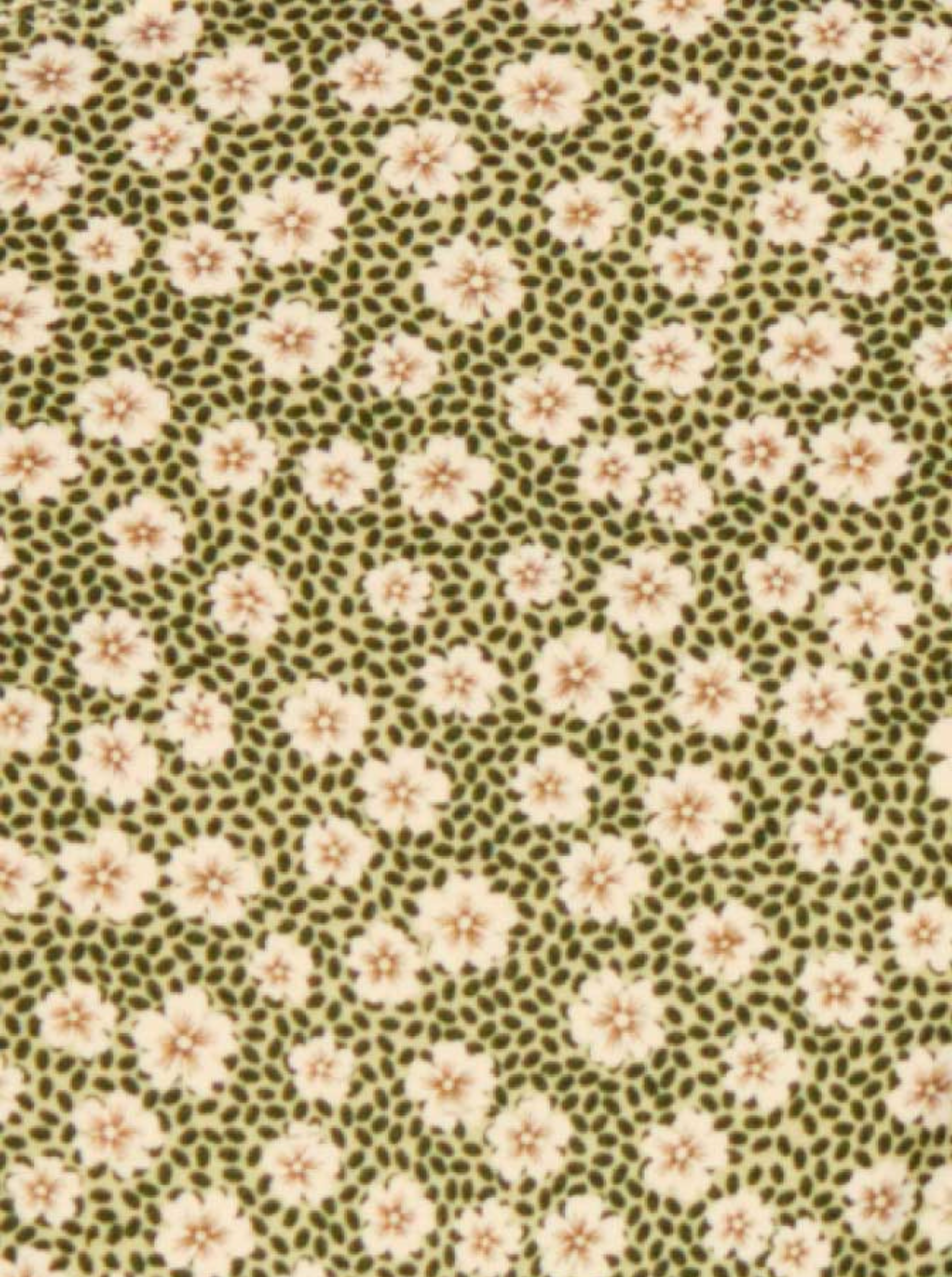Culotte Très Échancrée Swim Blooming Green