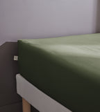 Bally - Drap Housse Percale Unie - 100% Coton - Thym
