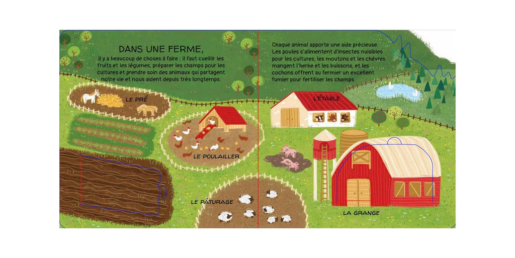 Our Animal Friends - On the Farm