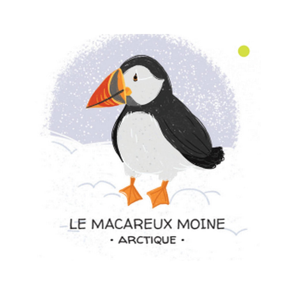 Let's Protect Animals. The Ice Floe