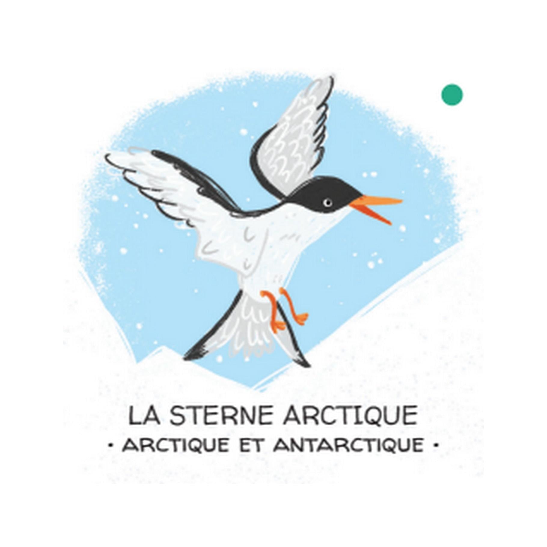 Let's Protect Animals. The Ice Floe