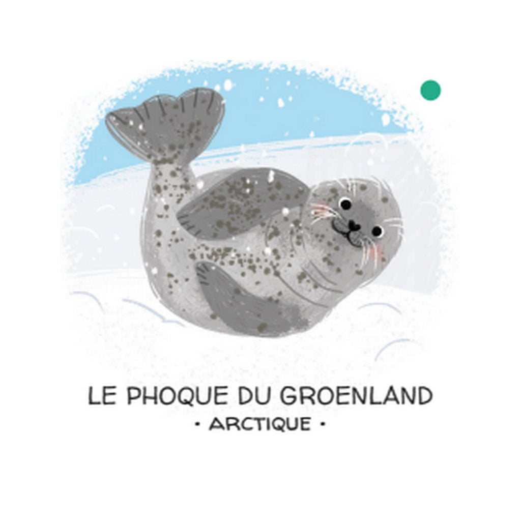 Let's Protect Animals. The Ice Floe