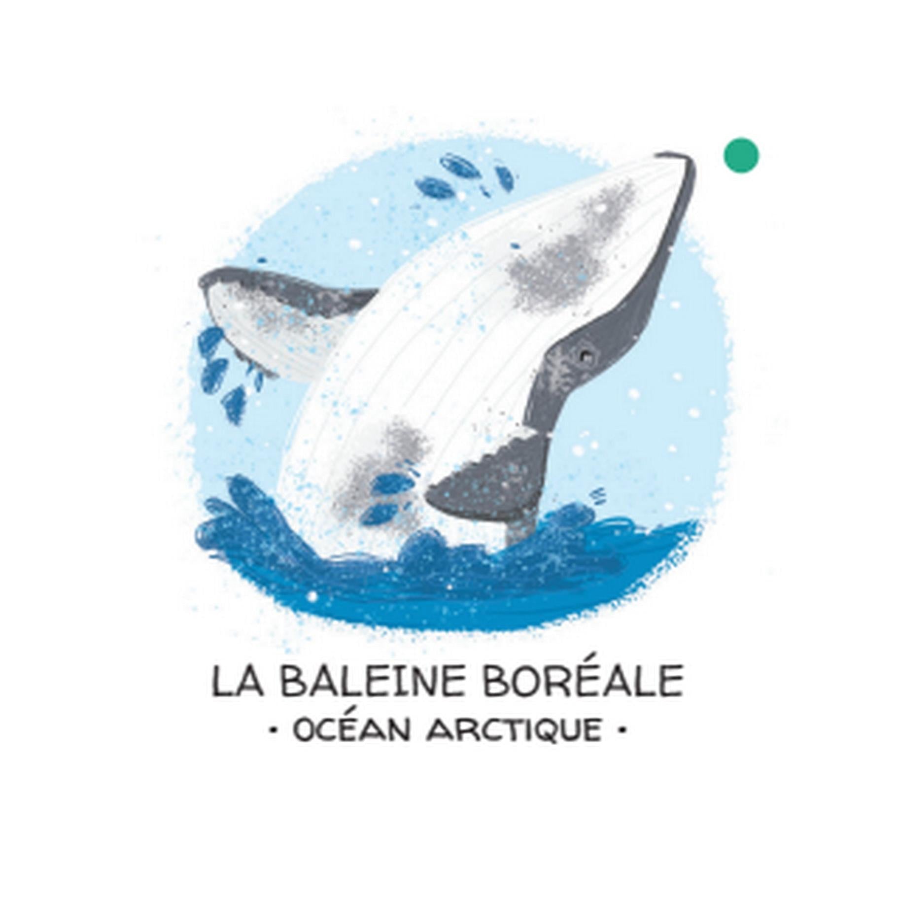 Let's Protect Animals. The Ice Floe
