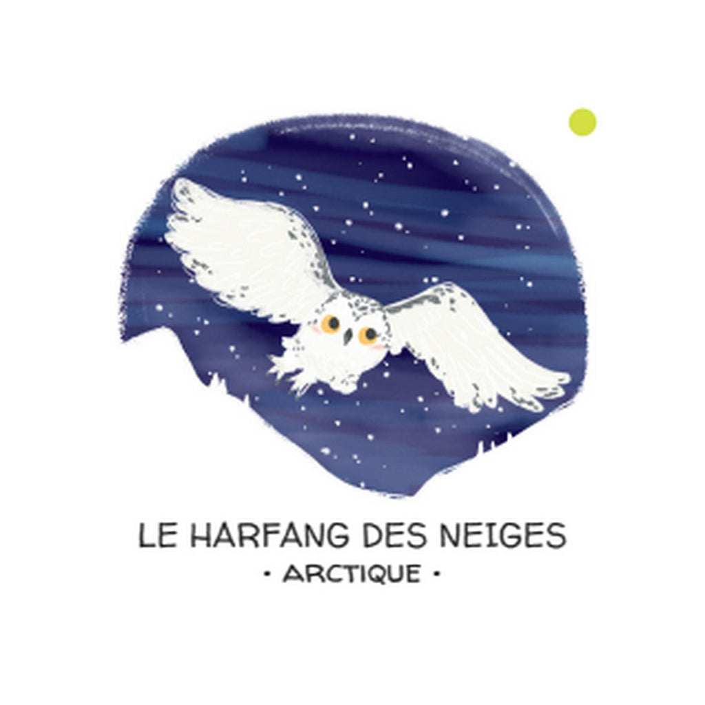 Let's Protect Animals. The Ice Floe