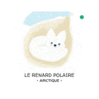 Let's Protect Animals. The Ice Floe