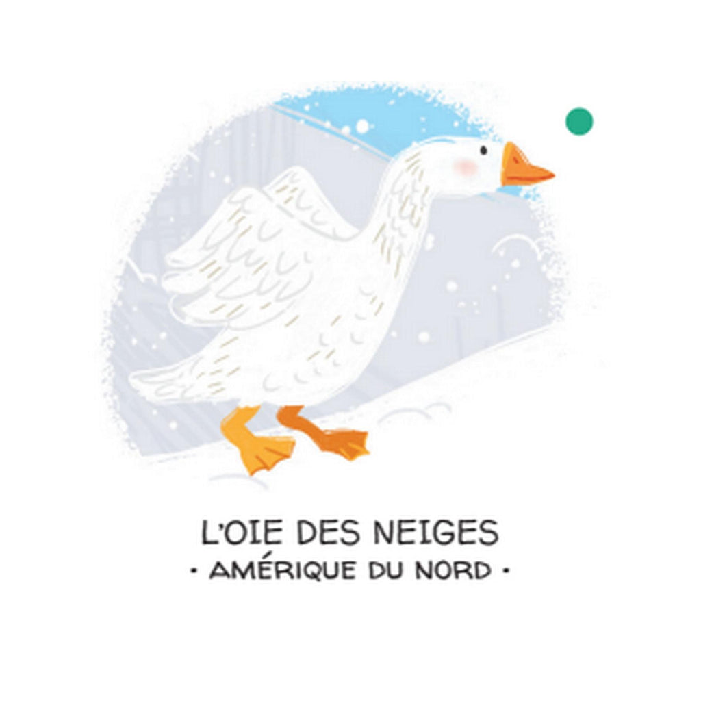 Let's Protect Animals. The Ice Floe