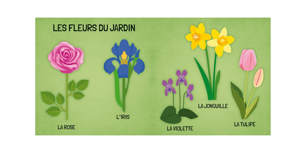 Q-Box. The World of Flowers