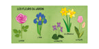 Q-Box. The World of Flowers