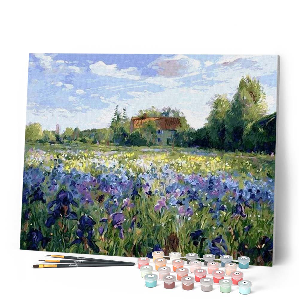 Paint By Numbers - In The Countryside