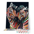 Paint By Numbers - Colourful Zebra Couple