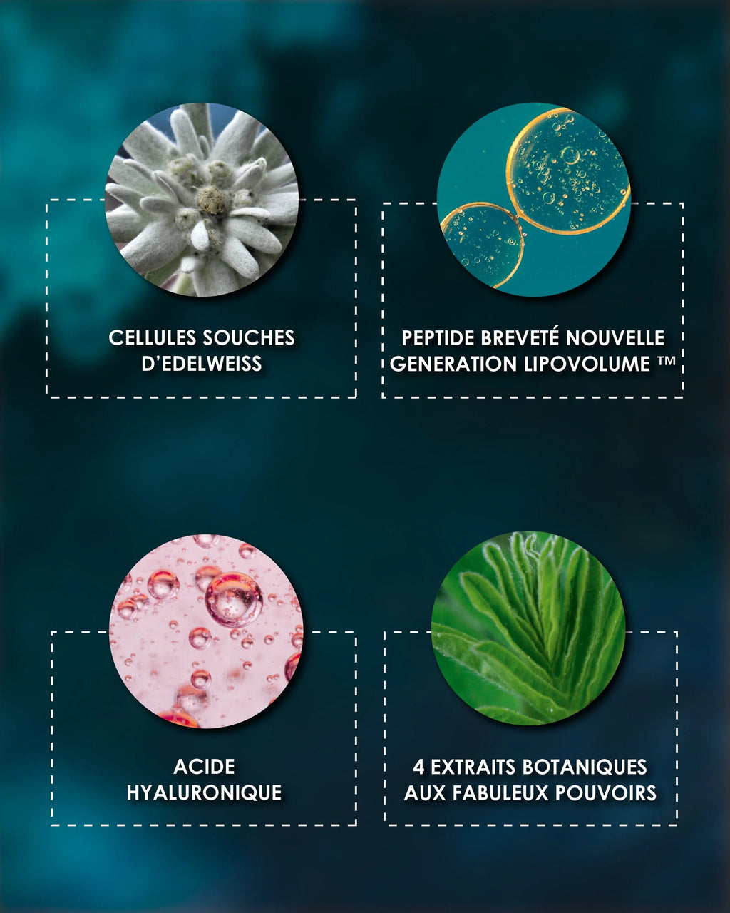 Laboratorio Antienvejecimiento y Antiarrugas de Garancia [ETOILE du jour] - Eco-Recharge: Lista de ingredientes activos Garancia Étoile du Jour: Edelweiss, péptido Lipovolume patentado, Ácido Hialurónico y extractos botánicos para una acción antienvejecimiento y voluminizadora.