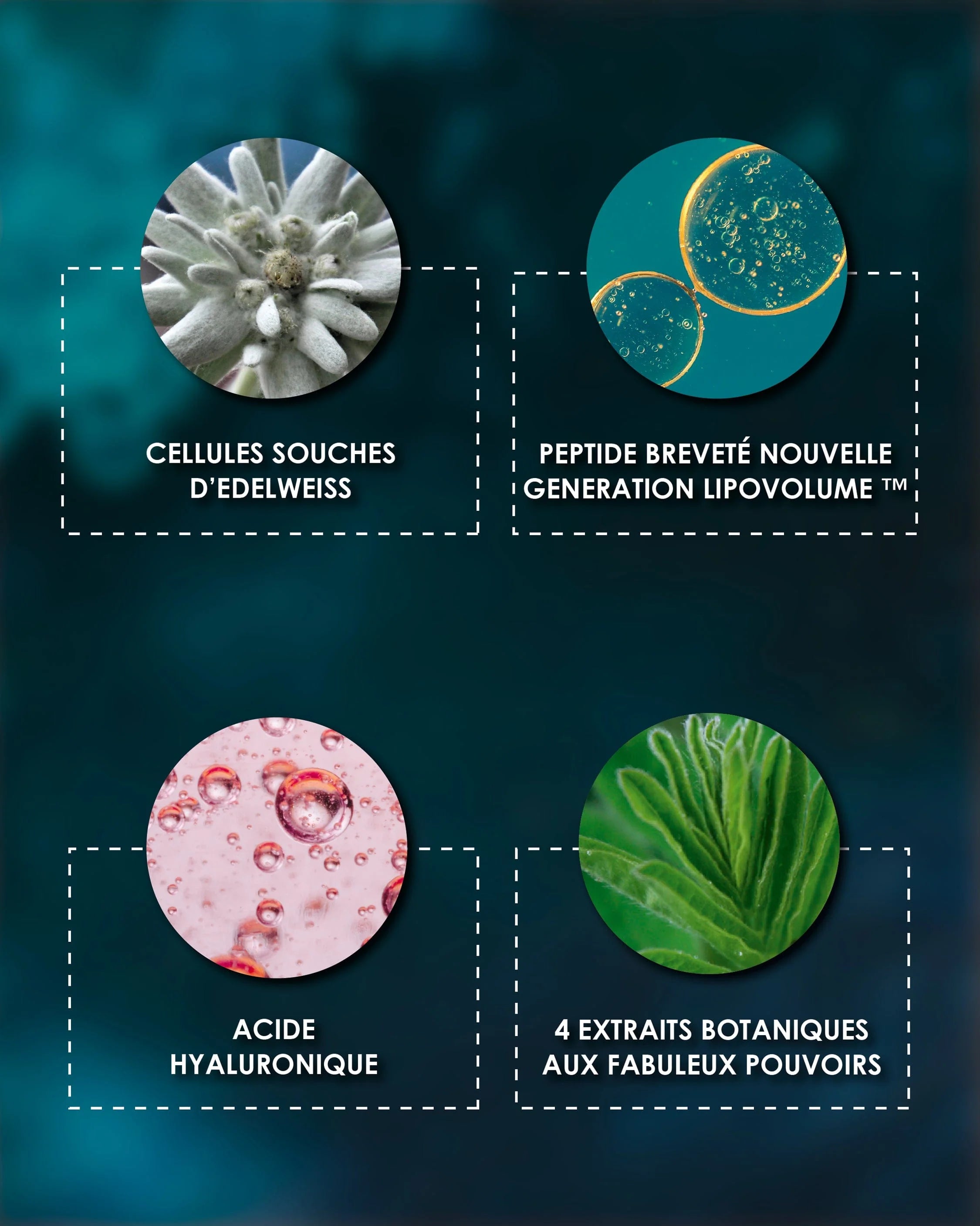 Laboratorio Antienvejecimiento y Antiarrugas de Garancia [ETOILE du jour] - Eco-Recharge: Lista de ingredientes activos Garancia Étoile du Jour: Edelweiss, péptido Lipovolume patentado, Ácido Hialurónico y extractos botánicos para una acción antienvejecimiento y voluminizadora.
