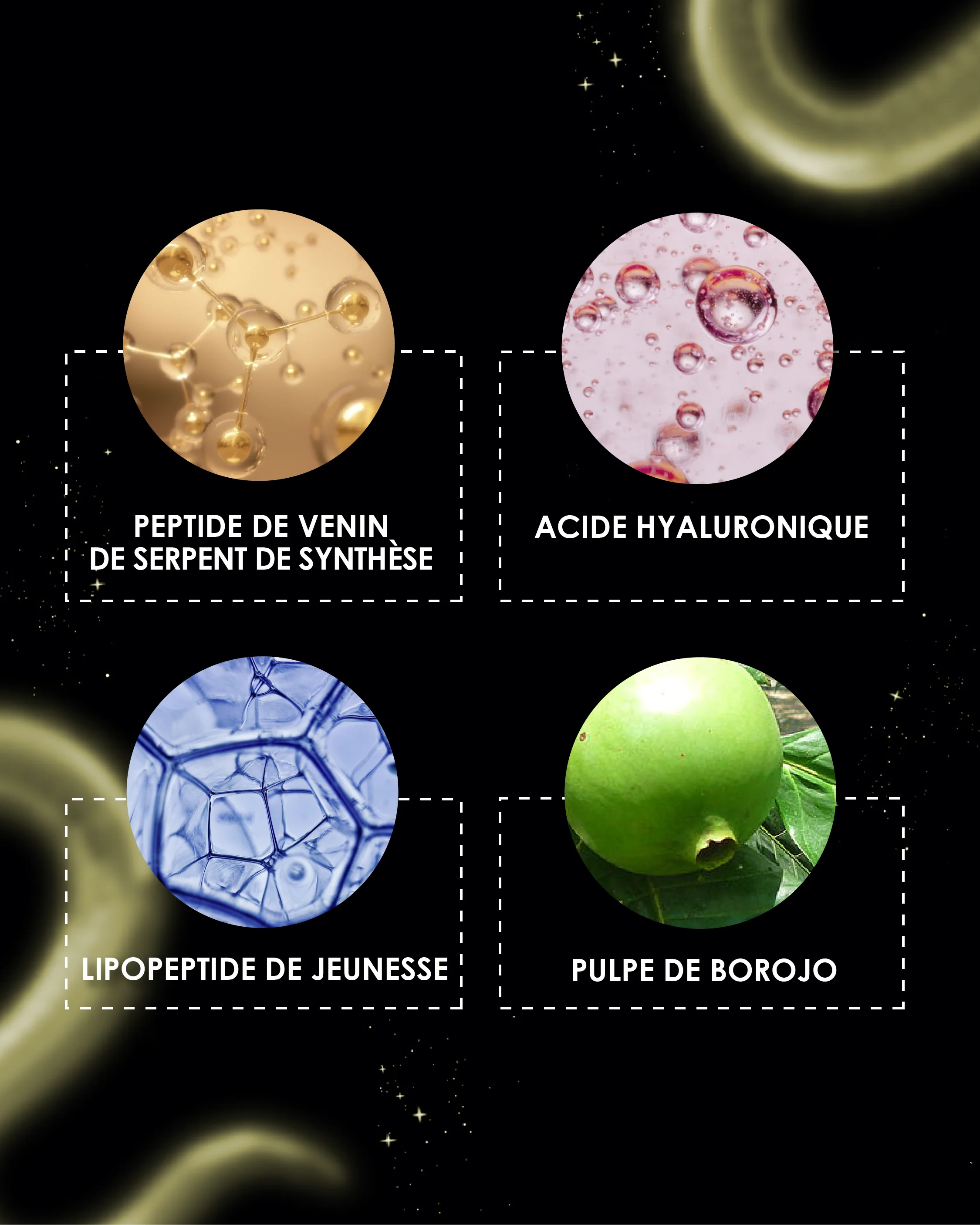 Les 4 actifs clés de la crème de nuit Garancia : Peptide de venin de serpent, Acide hyaluronique, Lipopeptide de jeunesse et Pulpe de Borojo