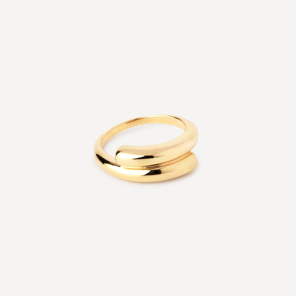 Anillo Doble
