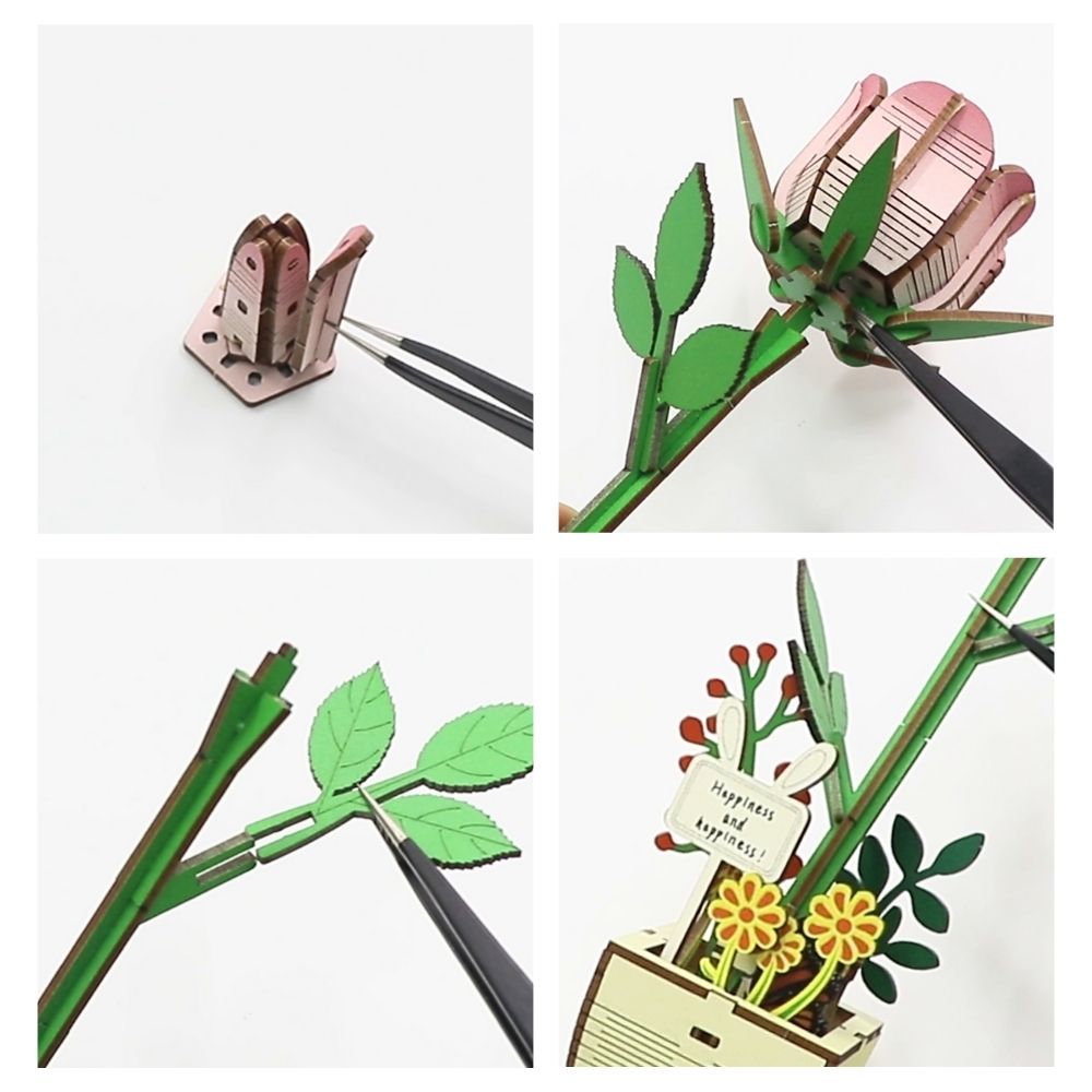 Puzzle 3D - La Rose