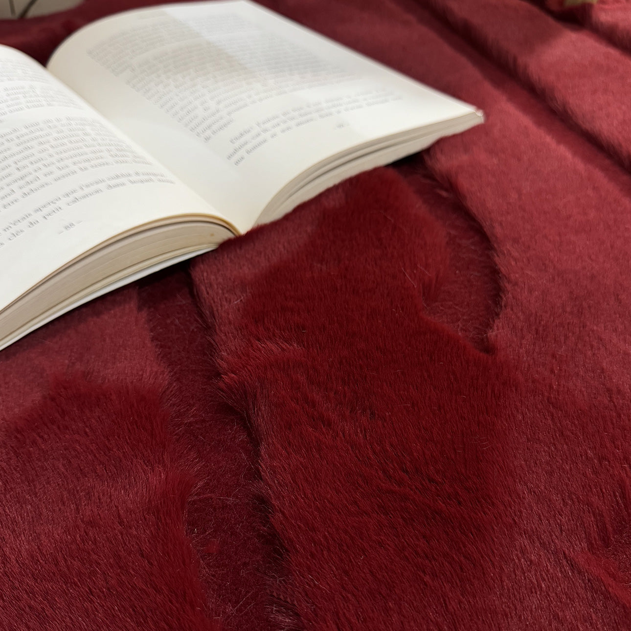 Alaska - Tapis D'Intérieur - Polyester - Rouge