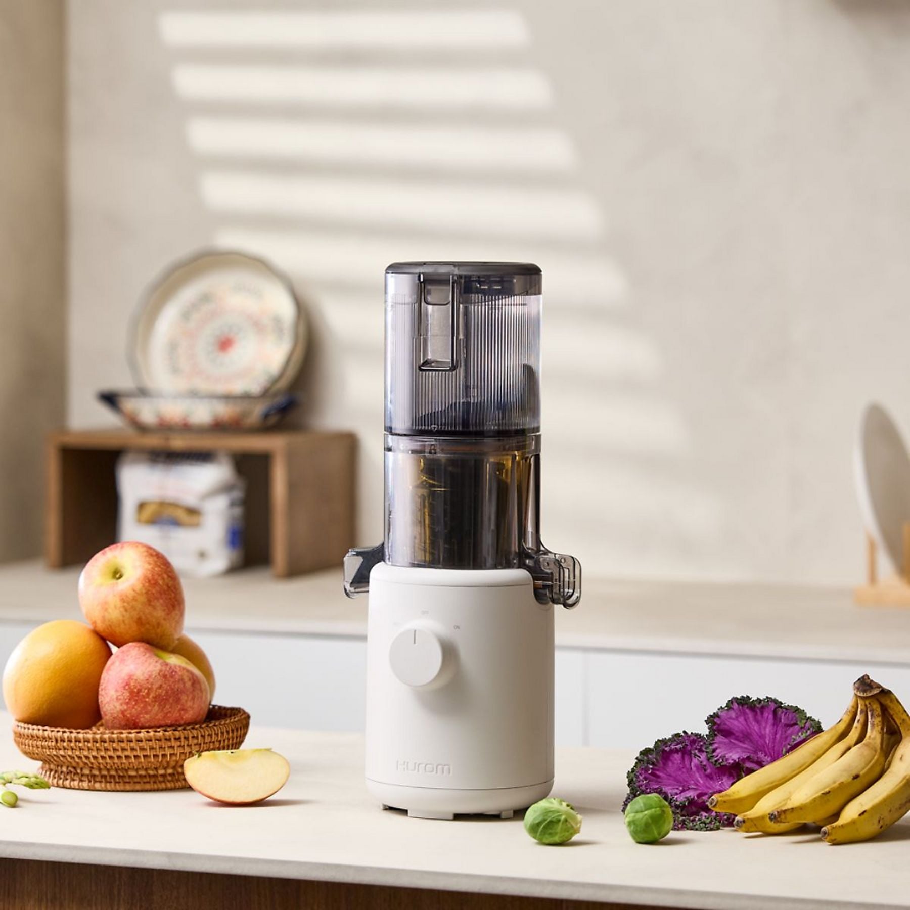 Mini Slow Juice Extractor - H310A Series - Mushroom