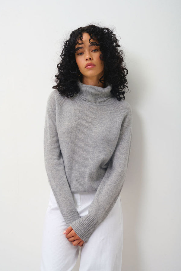 Pull Col Roulé - Dolce - Gris