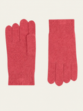 4-Ply Roc Gloves - Coral - Acc