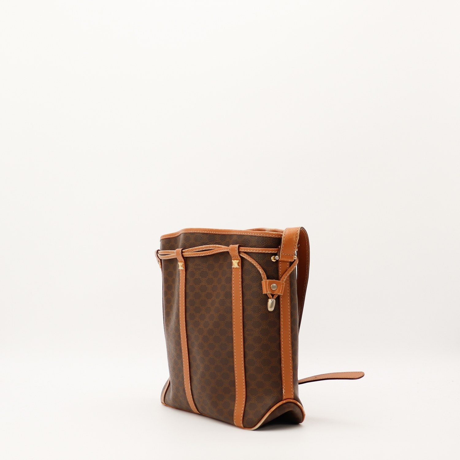The Céline Triomphe Bucket Bag