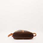 The Céline Triomphe Bucket Bag