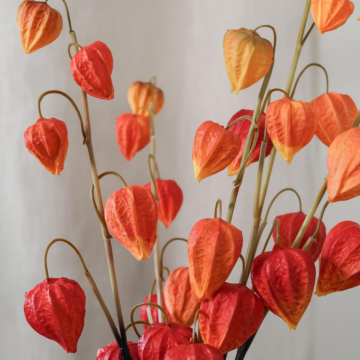 Amour En Cage Artificielle Orange
