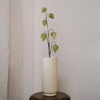 Amour En Cage Artificielle Verte