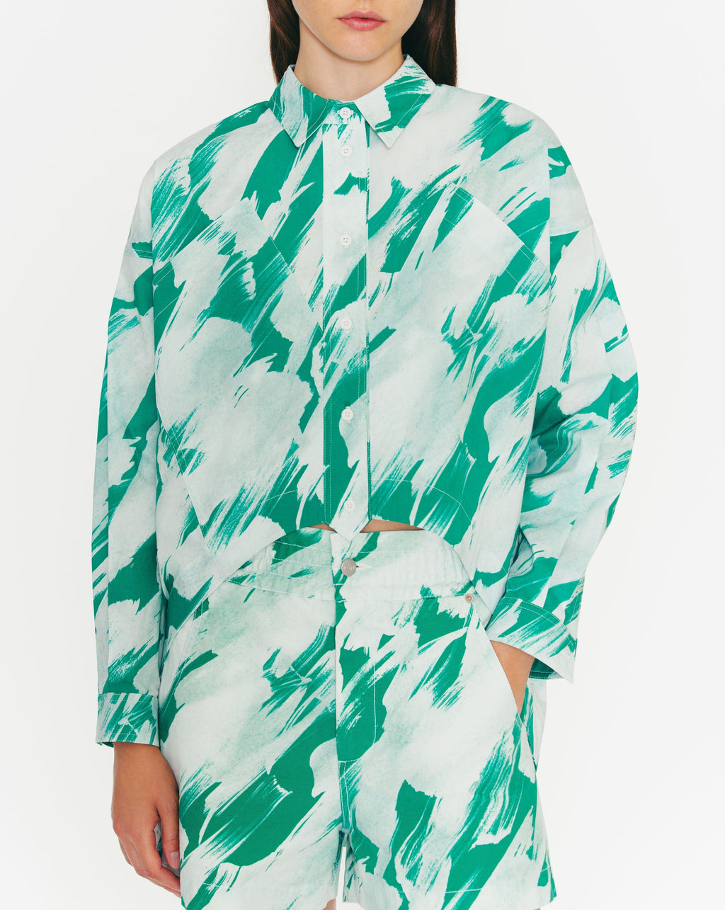 Chemise Astin - Green Paint