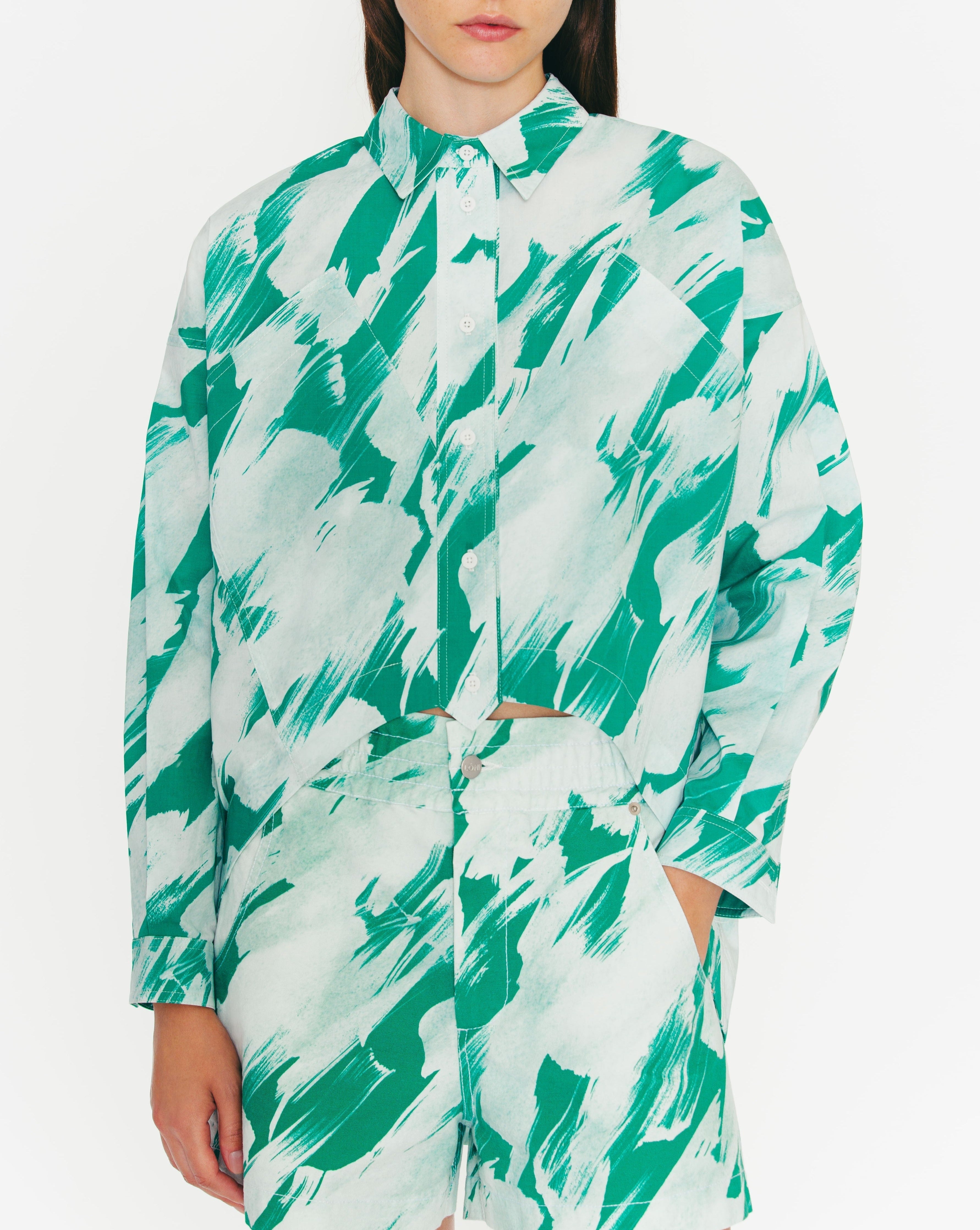 Chemise Astin - Green Paint