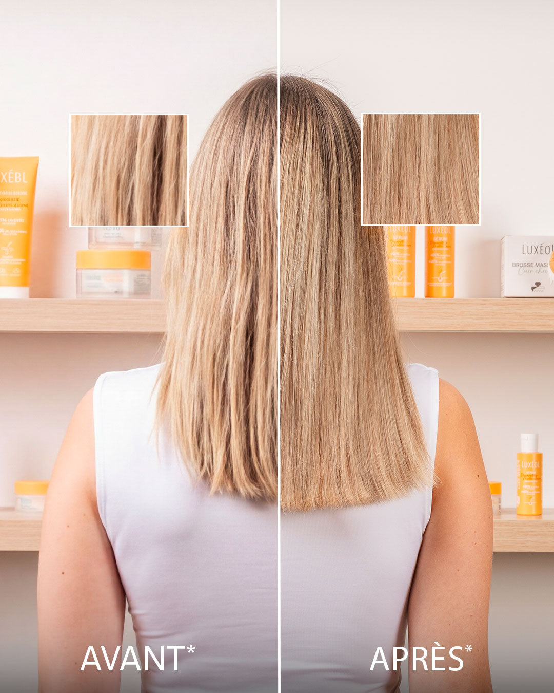 Protocole Réparateur Moléculaire