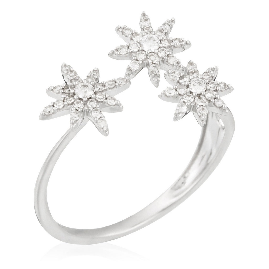 Bague "Bouquet Glacé" D0,20/55 - Or Blanc