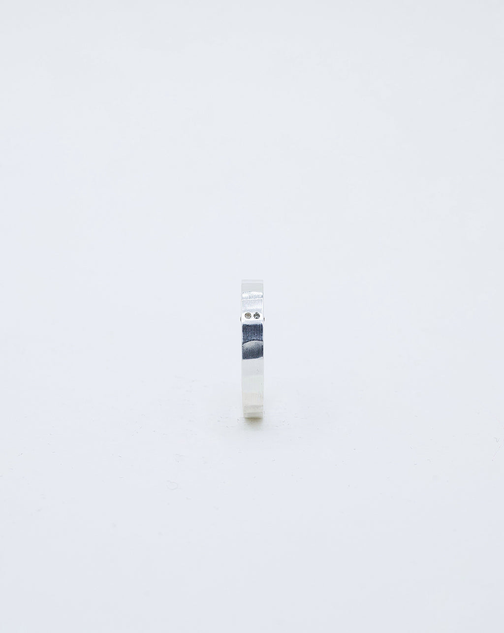 Bague Niwas